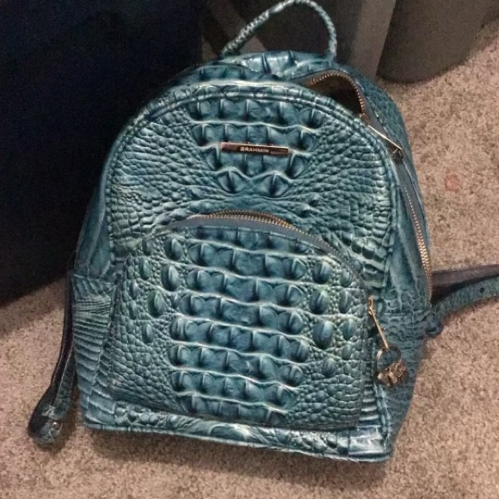 Blue Brahmin back pack